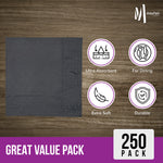 2 Ply Cocktail Napkins 1/4 Fold - Black - CNAP02B