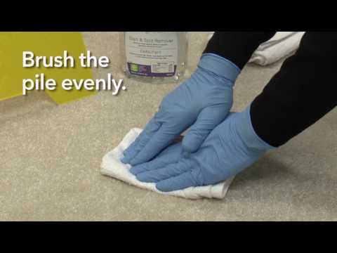 Swish Clean & Green® Stain & Spot Remover - 946mL — image 2