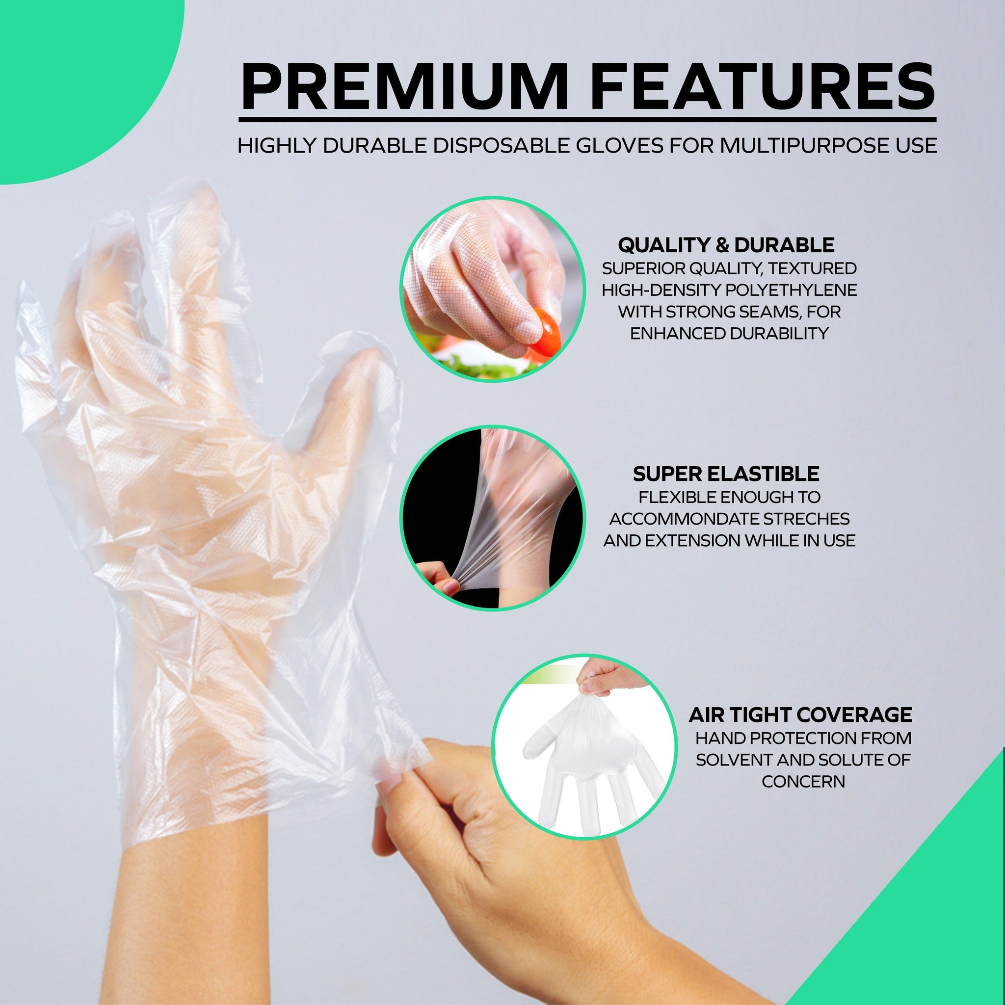 Clear Deli Gloves - Large - 200L — image 5