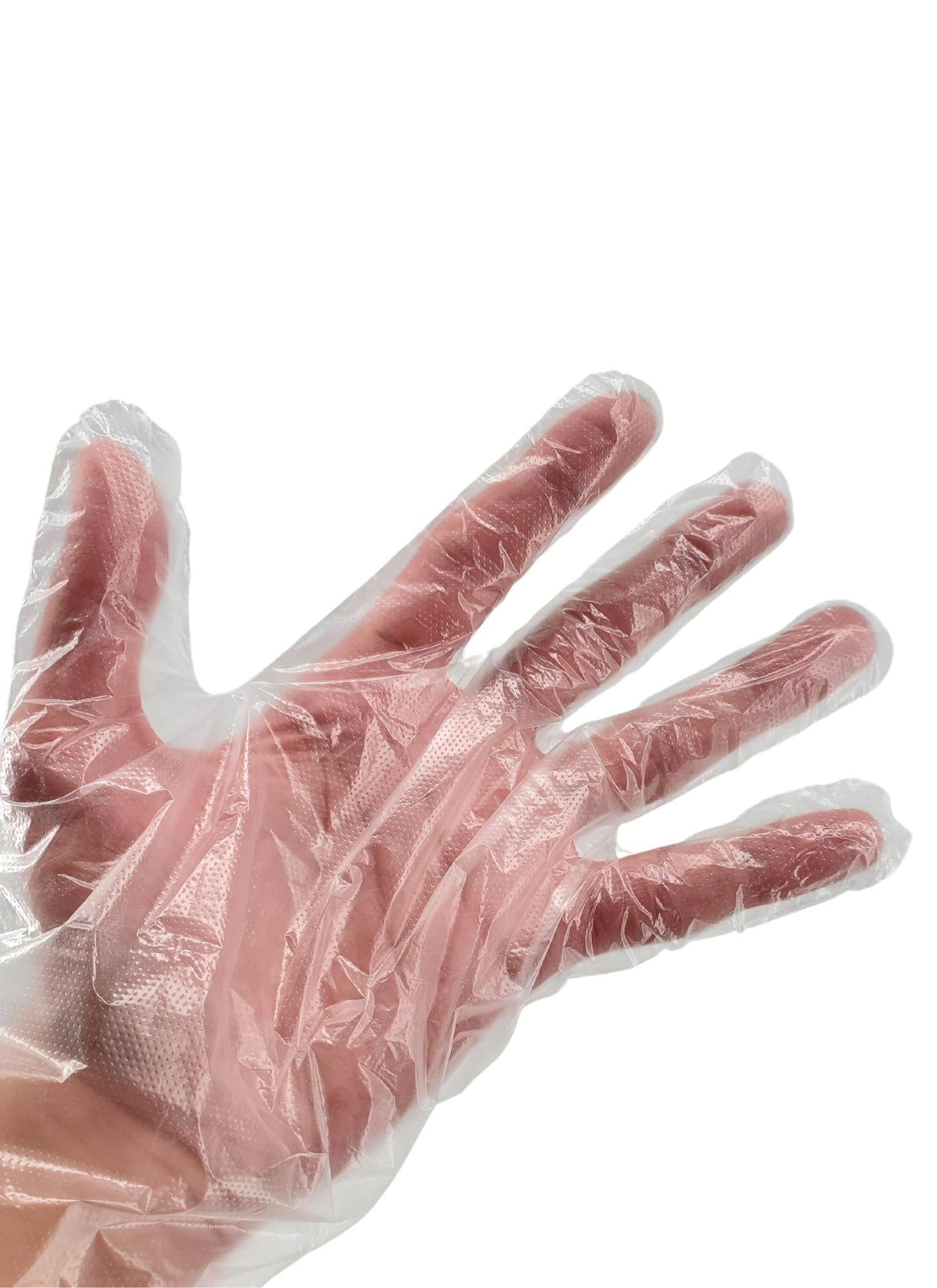 Clear Deli Gloves - Medium - 200M — image 7