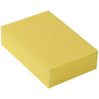 Aquazone Heavy-Duty Wet/Dry Sponge
