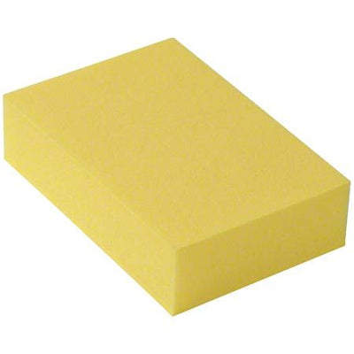 Aquazone Heavy-Duty Wet/Dry Sponge