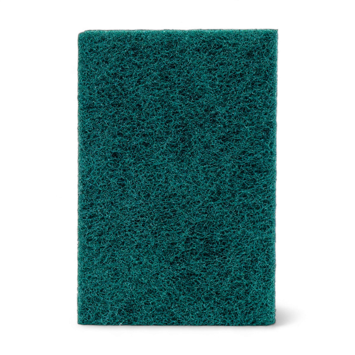 Scour Pad Green 6x9in - 10pk