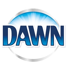 Dawn